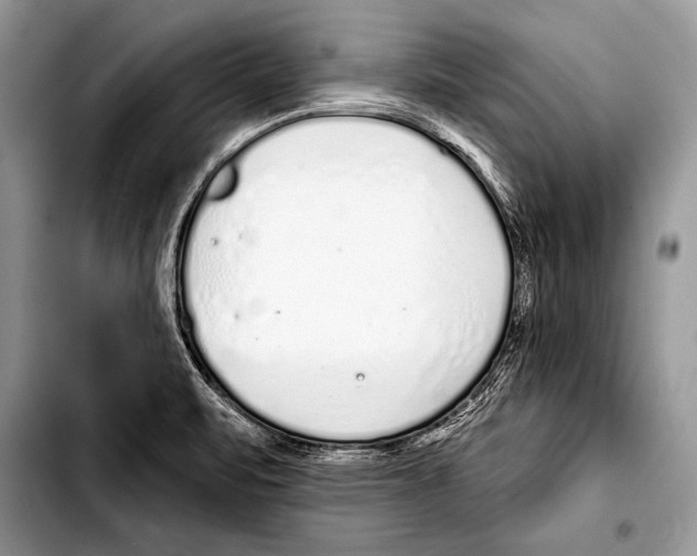 X0000103401471200810100922