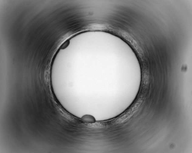 X0000103401473200810100922