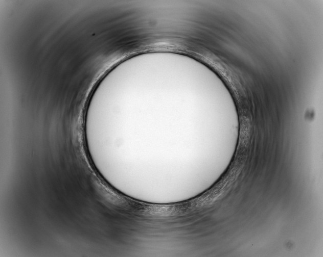 X0000103401474200810100922