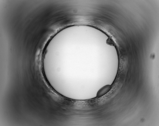 X0000103401477200810100922