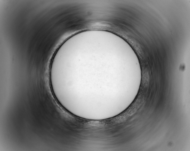 X0000103401478200810100922