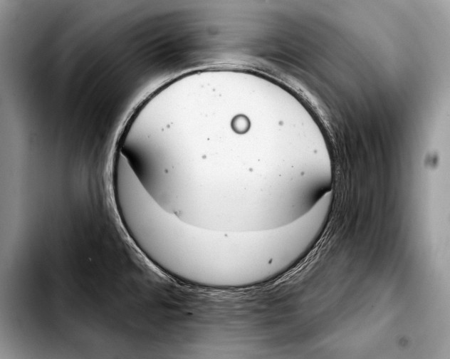 X0000103401480200810100922