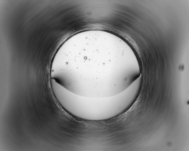 X0000103401481200810100922