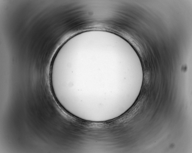 X0000103401482200810100922