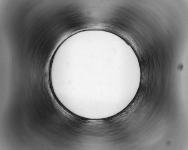 X0000103401483200810100922