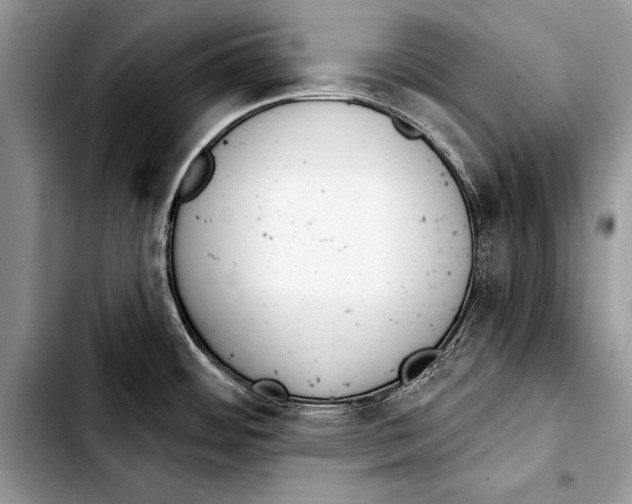 X0000103401484200810100922