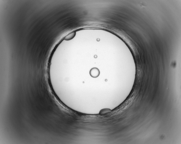 X0000103401485200810100922