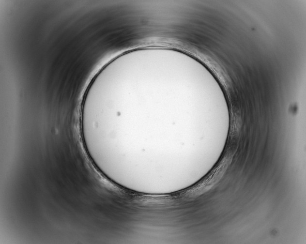 X0000103401486200810100922