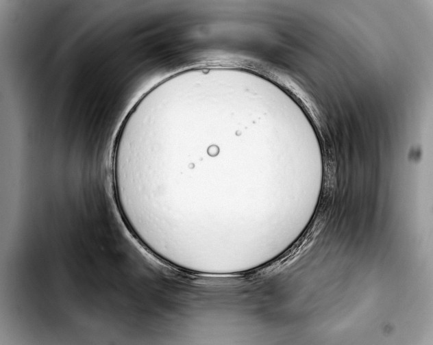 X0000103401487200810100922