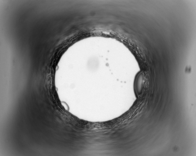 X0000103401493200810100922