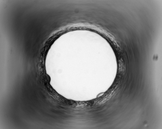 X0000103401494200810100922