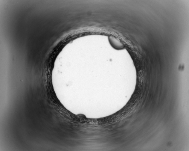 X0000103401495200810100922