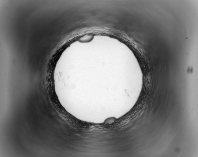 X0000103401496200810100922