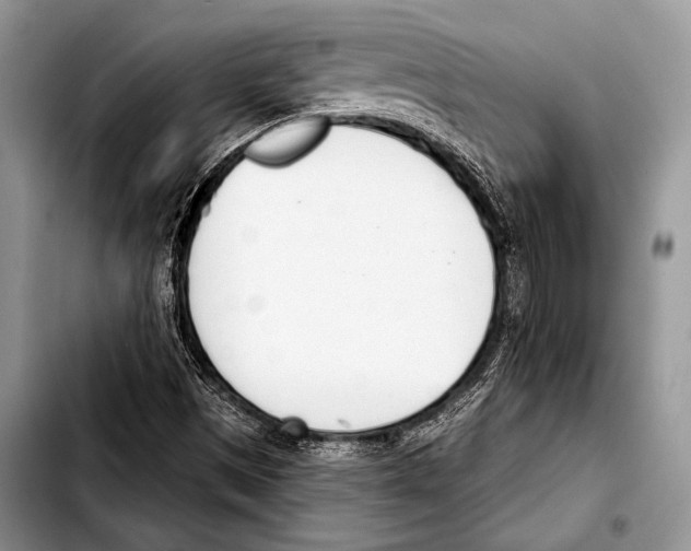 X0000103401497200810100922