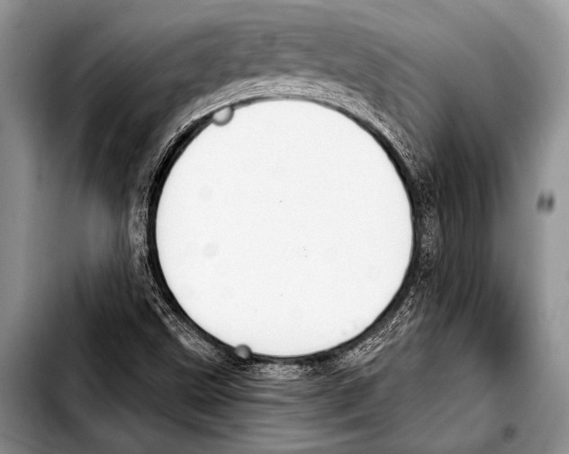 X0000103401499200810100922