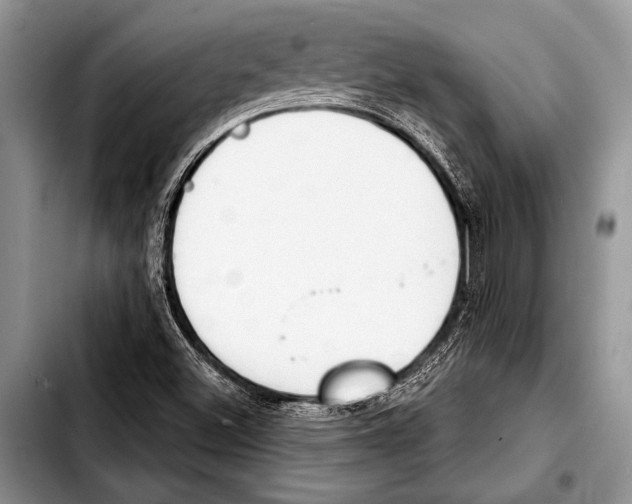 X0000103401500200810100922