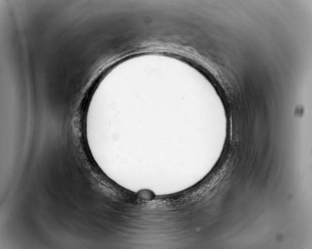 X0000103401501200810100922