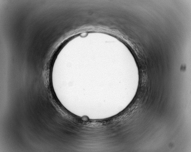 X0000103401503200810100922