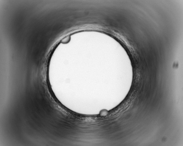 X0000103401504200810100922