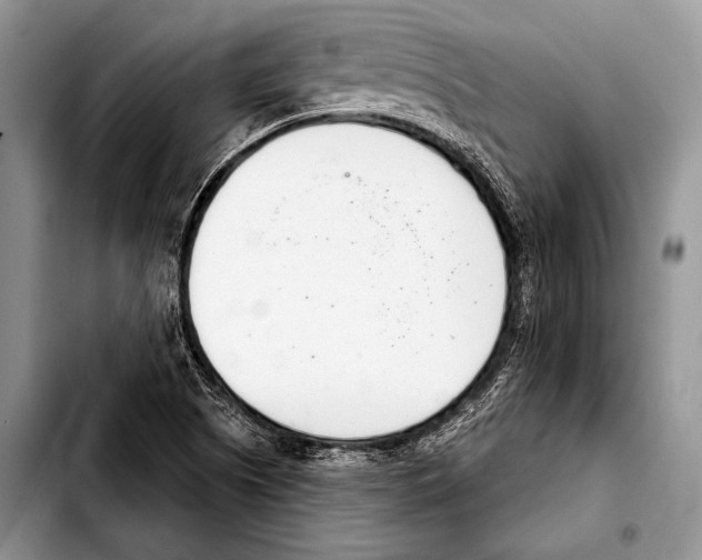 X0000103401505200810100922