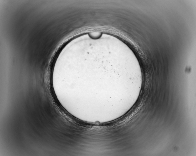 X0000103401506200810100922