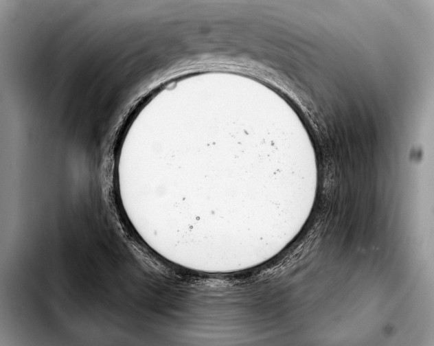 X0000103401507200810100922