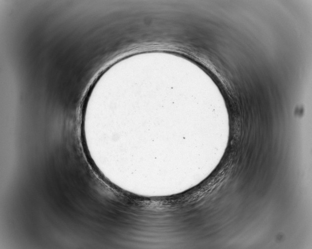 X0000103401508200810100922