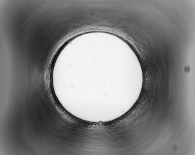 X0000103401511200810100922