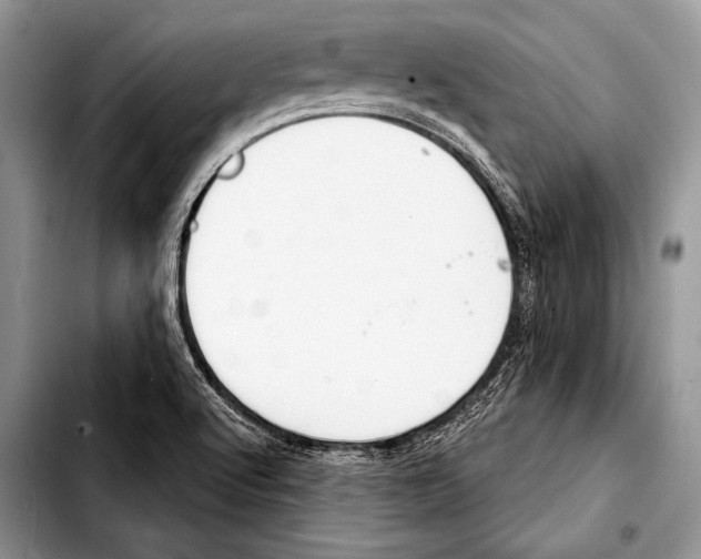 X0000103401512200810100922