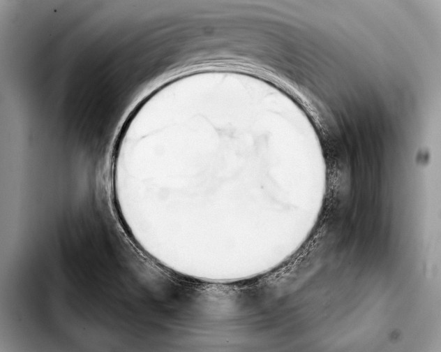 X0000103401514200810100922