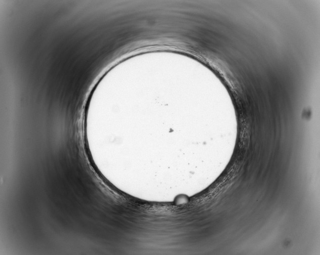 X0000103401516200810100922