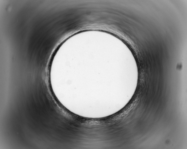 X0000103401517200810100922