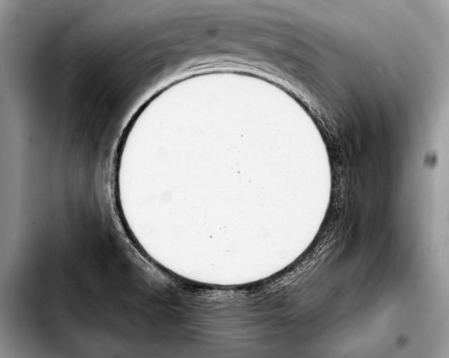 X0000103401518200810100922