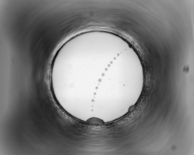 X0000103401520200810100922