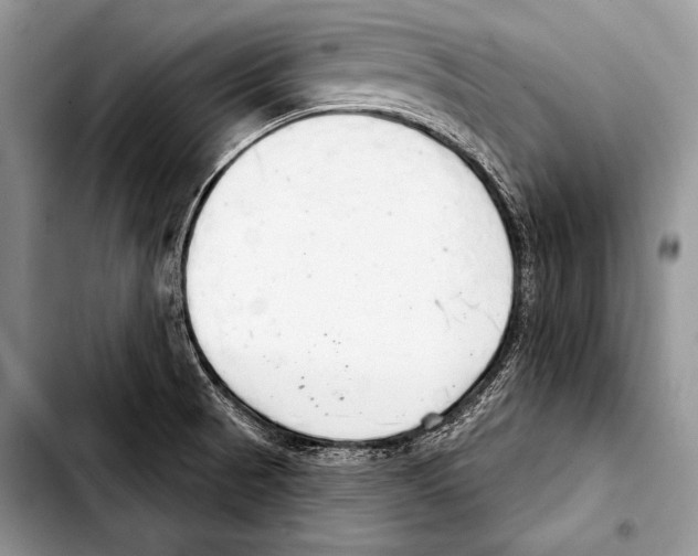 X0000103401521200810100922