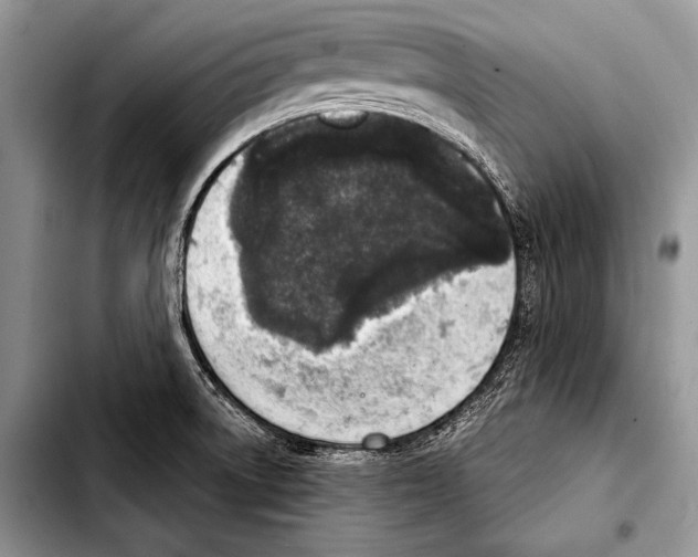 X0000103401522200810100922