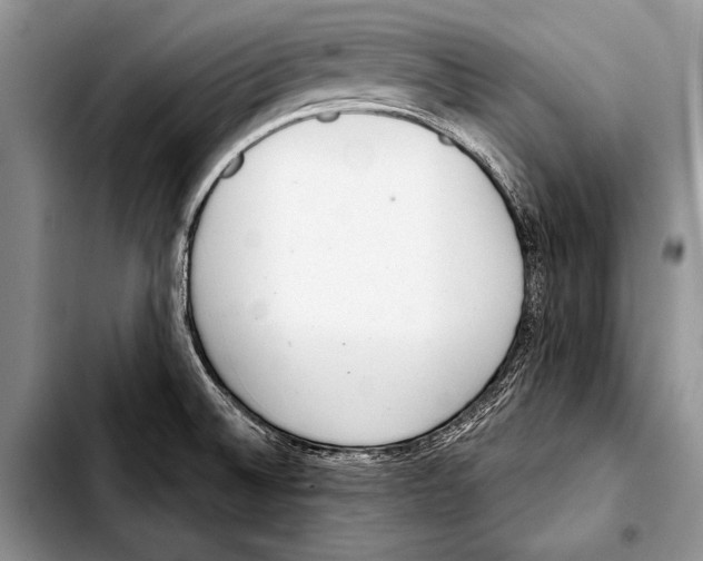 X0000103401524200810100922