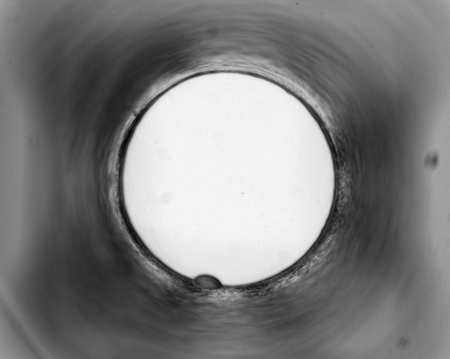 X0000103401525200810100922