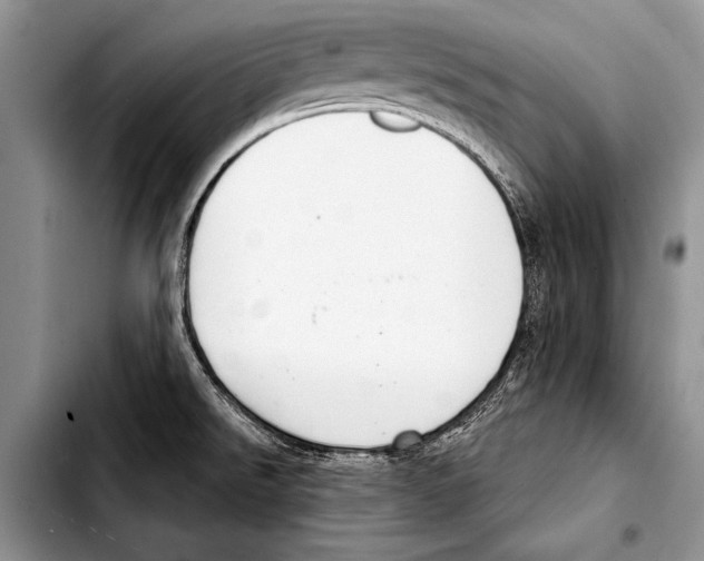 X0000103401526200810100922