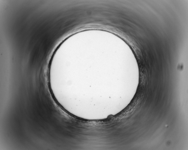 X0000103401527200810100922