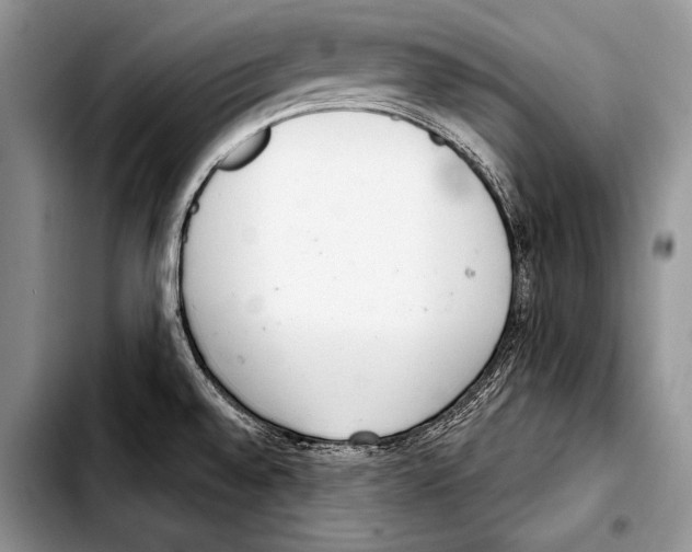 X0000103401528200810100922