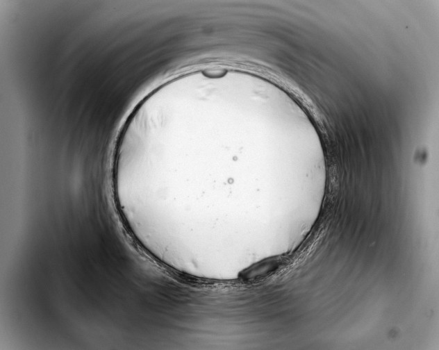 X0000103401530200810100922