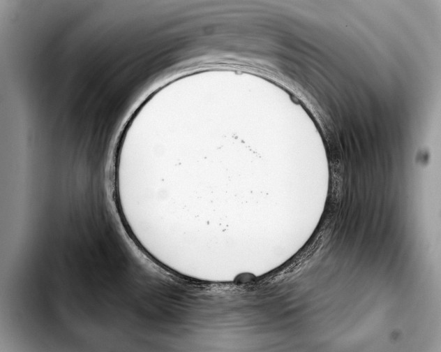 X0000103401531200810100922