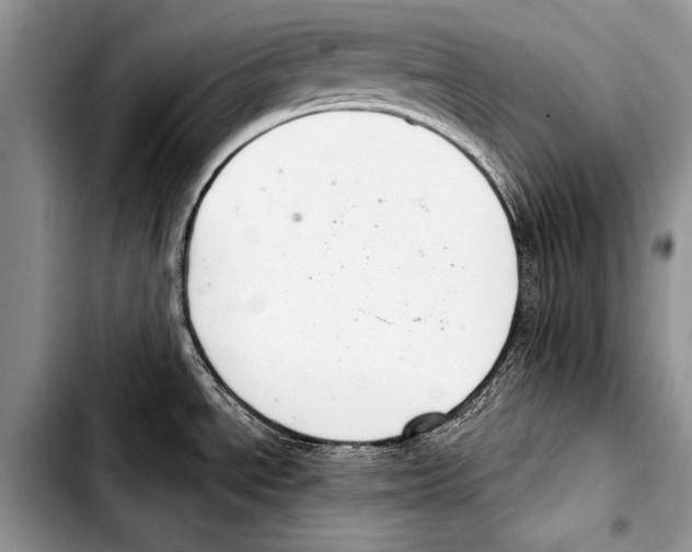 X0000103401534200810100922