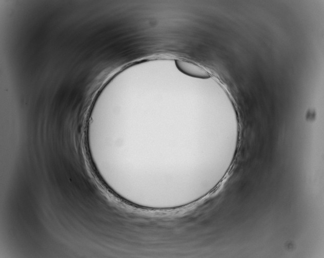 X0000103400001200810241022