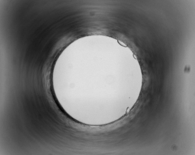 X0000103400002200810241022