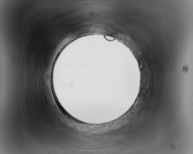 X0000103400003200810241022