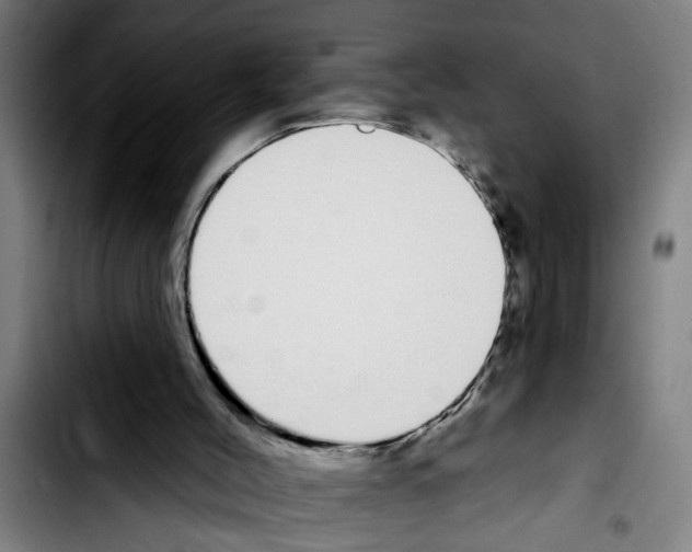 X0000103400004200810241022