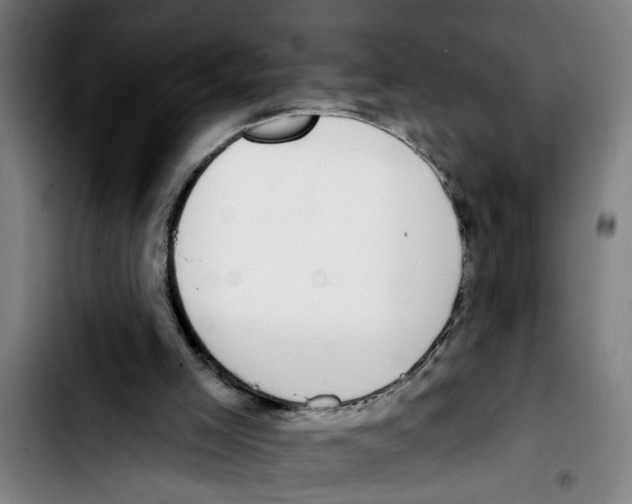 X0000103400005200810241022