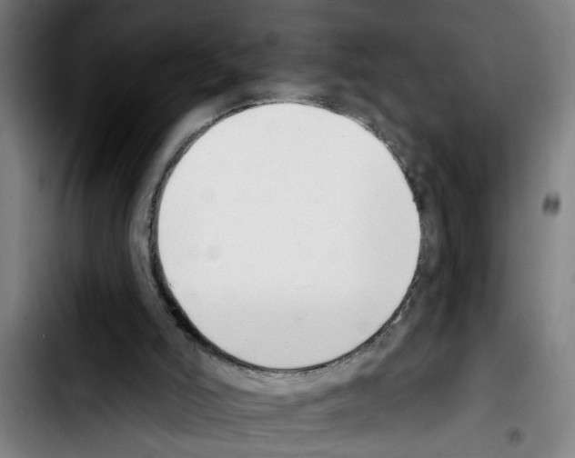 X0000103400006200810241021